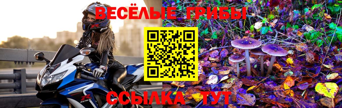 Галлюциногенные грибы мухоморы  Вход с VPN  Ахтубинск 