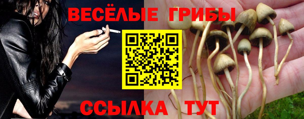 Псилоцибиновые грибы MAGIC MUSHROOMS Ахтубинск